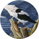 Jim Kirkwood Jim Kirkwood