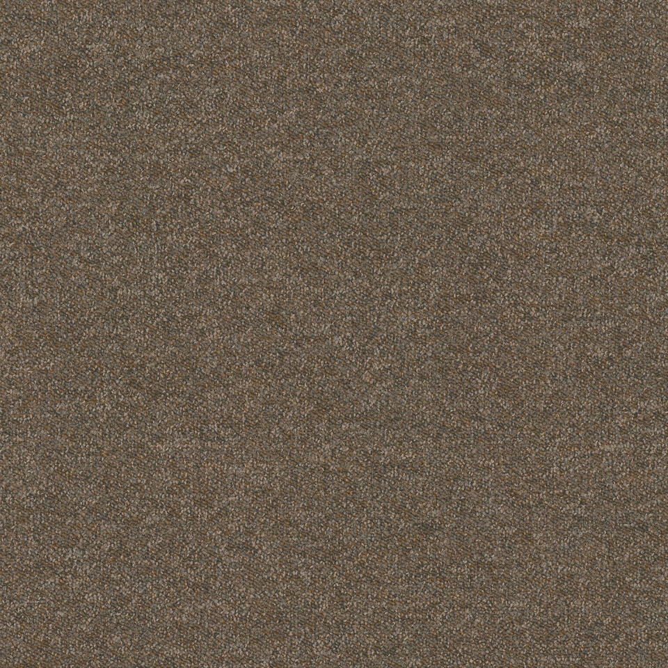 2923 png