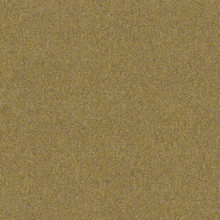 6223 png