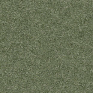 7843 png