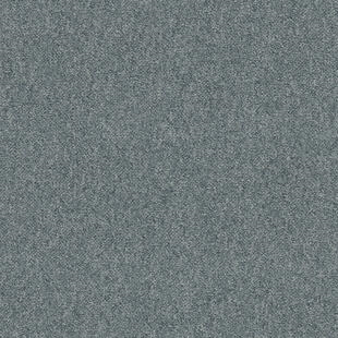9037 png